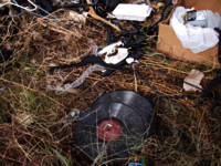 Musik und Klimakrise (c) L. Roman Duffner